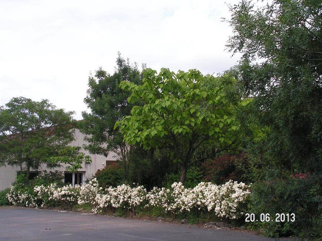 Le Bois Joli Hotel Massais Buitenkant foto